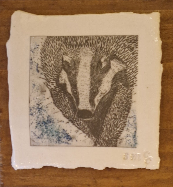 SMP British Wildlife - The Badger print on Clay 2024 by Shauna McCann