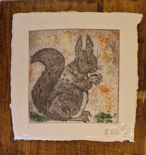 SMP British Wildlife - The Squirrel print on Clay 2024 by Shauna McCann