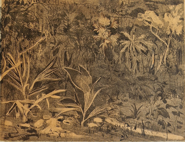 Florida Monotype print c. 1964 by Edna Ginesi