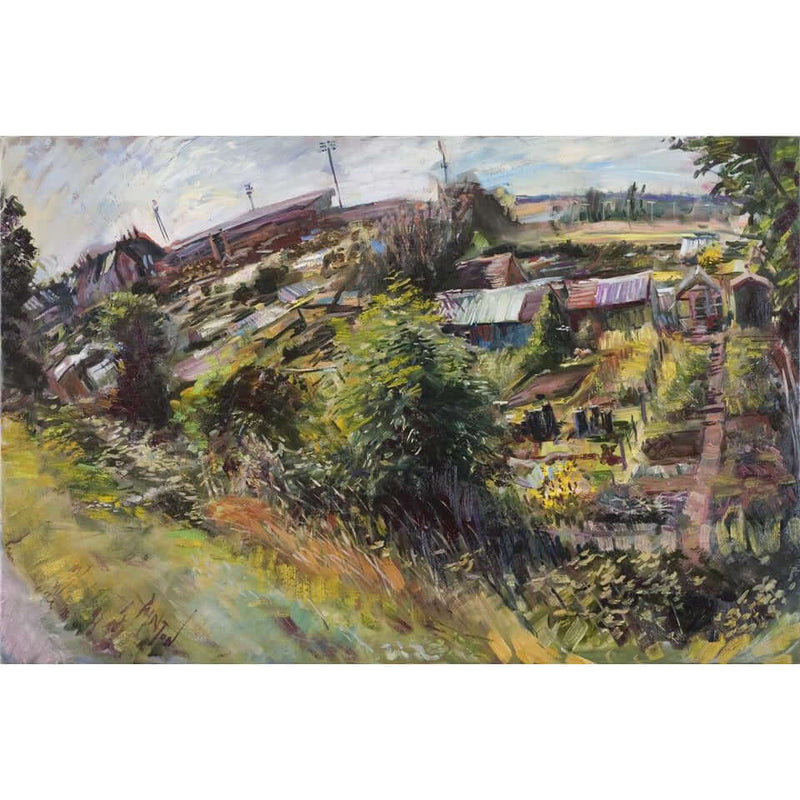 Dolly Lane Allotments by Rob Pointon by Barewall