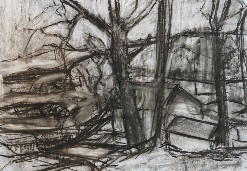 Trees drawing 2018 by Richard Fitton by Barewall