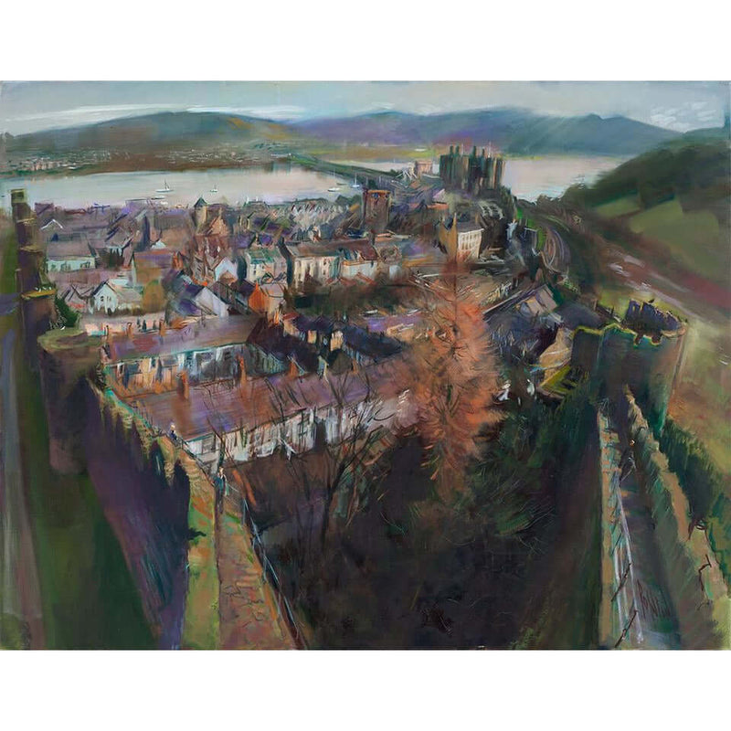 View from the Watch Tower, Conwy 2014 by Rob Pointon by Barewall