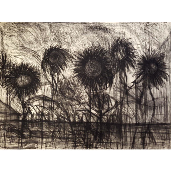 Flowers in Monochrome 1969 by Arthur Berry | Original Art by Arthur Berry | Barewall Art Gallery